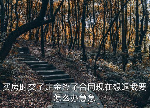 買房時交了定金簽了合同現(xiàn)在想退我要怎么辦急急