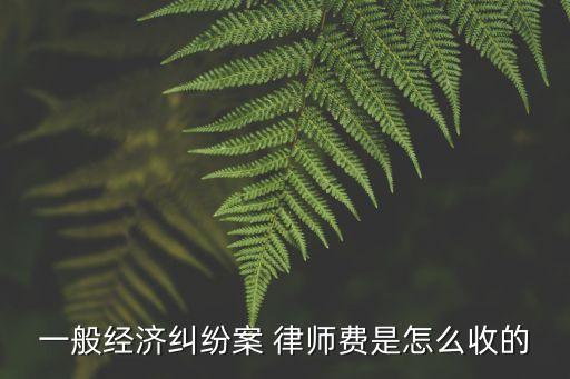 經(jīng)濟(jì)糾紛案律師費(fèi)怎么收取，一般經(jīng)濟(jì)糾紛案 律師費(fèi)是怎么收的