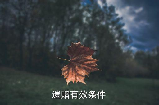 遺贈(zèng)有效條件