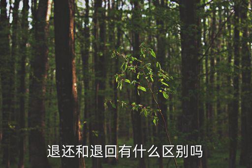 歸還與返還的區(qū)別，還款和返還款有什么區(qū)別
