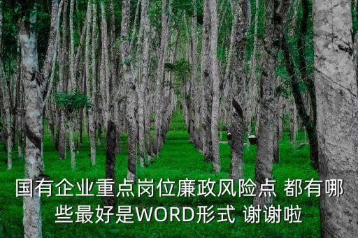 國有企業(yè)重點(diǎn)崗位廉政風(fēng)險(xiǎn)點(diǎn) 都有哪些最好是WORD形式 謝謝啦