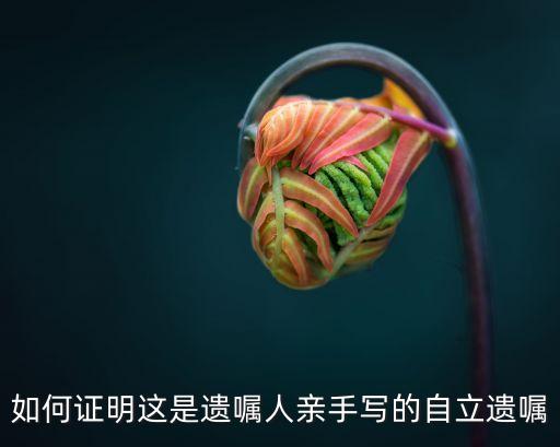 如何證明這是遺囑人親手寫的自立遺囑