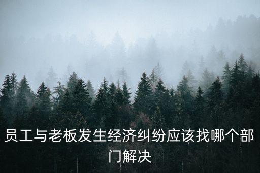 員工與老板發(fā)生經(jīng)濟(jì)糾紛應(yīng)該找哪個(gè)部門解決