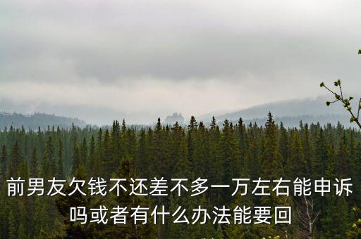 前男友欠錢(qián)不還差不多一萬(wàn)左右能申訴嗎或者有什么辦法能要回
