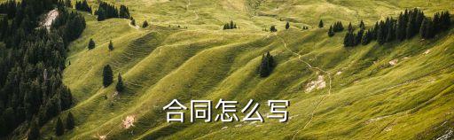 合同怎么寫