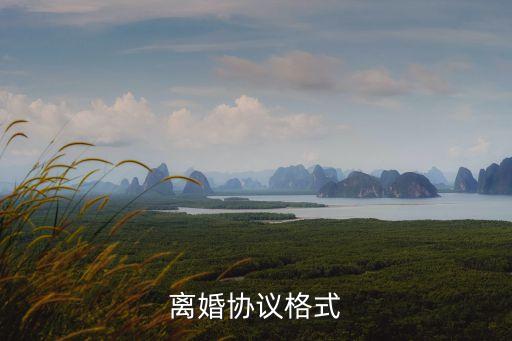 離婚協(xié)議格式