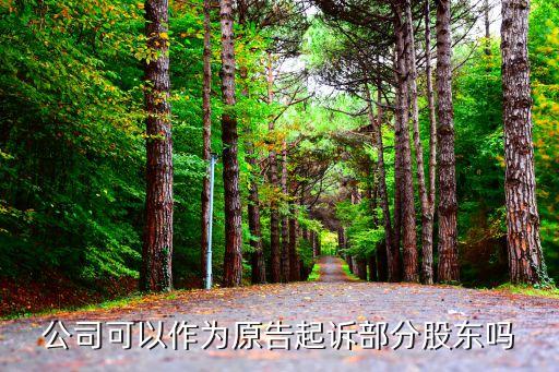 起訴公司股東有責任嗎，公司糾紛要股東負責嗎