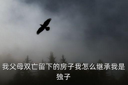我父母雙亡留下的房子我怎么繼承我是獨(dú)子