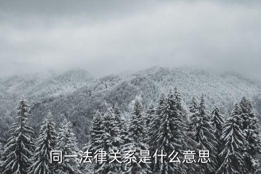 同一法律關(guān)系的認定，擔(dān)保法中同一法律關(guān)系是什么意思