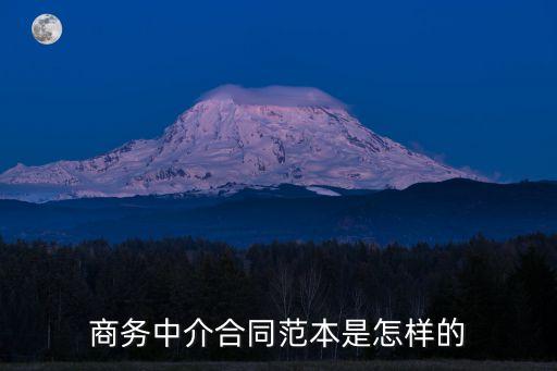 中介服務(wù)合同模板，房屋中介合同應(yīng)該怎么寫(xiě)
