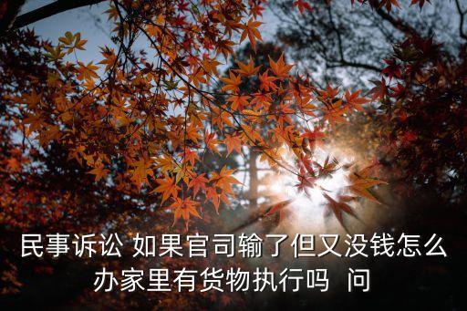 民事訴訟 如果官司輸了但又沒錢怎么辦家里有貨物執(zhí)行嗎  問