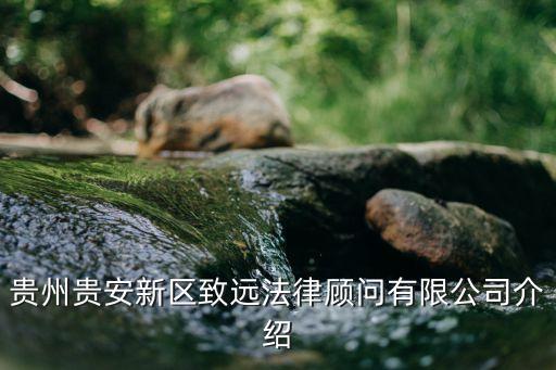 法律咨詢(xún)服務(wù)公司簡(jiǎn)介，法律服務(wù)機(jī)構(gòu)介紹