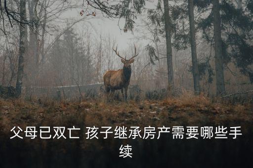 父母已雙亡 孩子繼承房產(chǎn)需要哪些手續(xù)