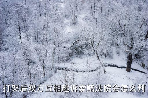 雙方互相起訴怎么處理，雙方因民事糾紛起了沖突結(jié)果雙方都是輕傷如果對(duì)方已經(jīng)上訴了