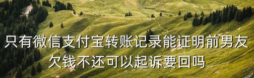 前任欠錢不還可以起訴嗎，前男友欠錢不還差不多一萬左右能申訴嗎或者有什么辦法能要回