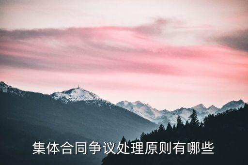 集體合同爭議處理原則有哪些