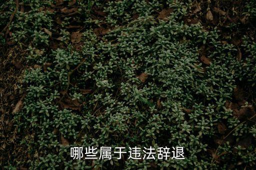 什么是違法辭退員工，哪些屬于違法辭退