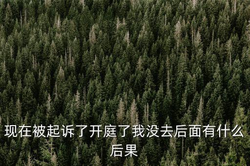 被起訴了會有什么后果，信用卡逾期還款被起訴后對以后有什么影響