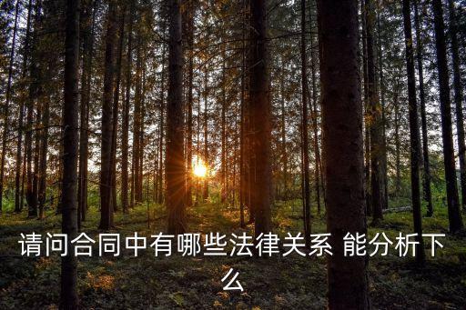 請(qǐng)問(wèn)合同中有哪些法律關(guān)系 能分析下么