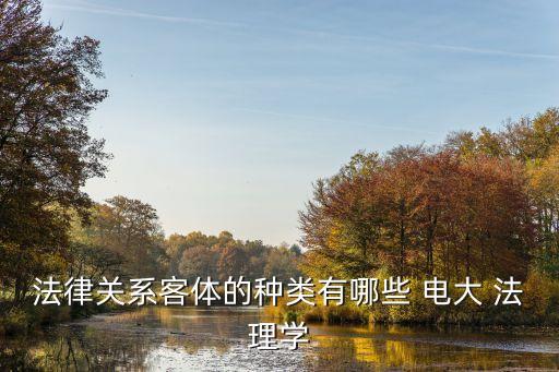 合同法律關(guān)系客體的種類不包括，法律關(guān)系客體的種類有哪些 電大 法理學(xué)