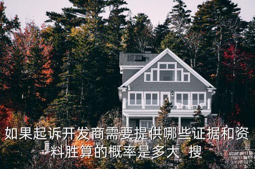 如果起訴開發(fā)商需要提供哪些證據(jù)和資料勝算的概率是多大  搜