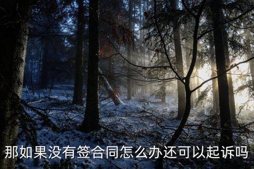 沒(méi)有簽訂合同可以起訴嗎，請(qǐng)問(wèn)沒(méi)有合同可以起訴嗎