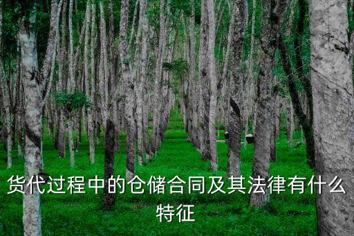 貨代過程中的倉儲(chǔ)合同及其法律有什么特征