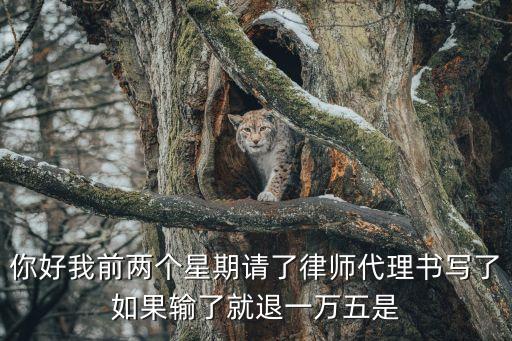 請律師如果輸了怎么辦，如果請律師打官司打輸了還用出律師費嗎