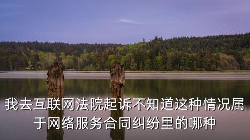 網(wǎng)絡(luò)合同糾紛，我去互聯(lián)網(wǎng)法院起訴不知道這種情況屬于網(wǎng)絡(luò)服務(wù)合同糾紛里的哪種