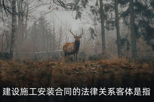 合同法律關(guān)系的客體包括物 行為，建設(shè)施工安裝合同的法律關(guān)系客體是指