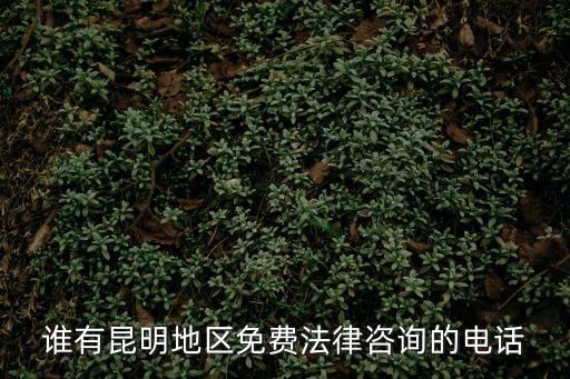誰有昆明地區(qū)免費法律咨詢的電話