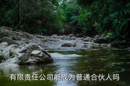 合伙人公司，請介紹一下合伙人制