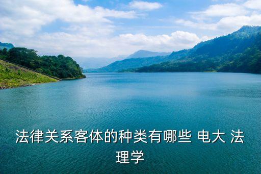 法律關(guān)系客體的種類有哪些 電大 法理學(xué)