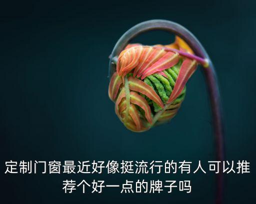 定制門窗最近好像挺流行的有人可以推薦個好一點的牌子嗎