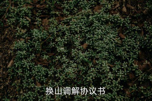 換山調(diào)解協(xié)議書