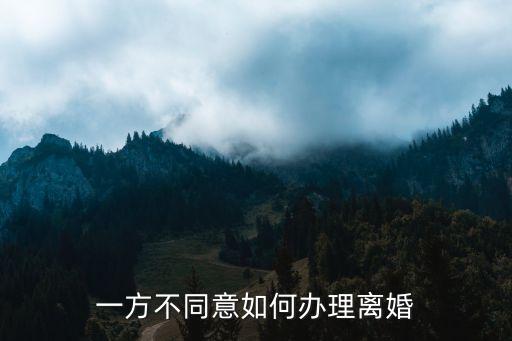 另一方不同意離婚怎么辦手續(xù)，雙方有一方不同意離婚怎么辦