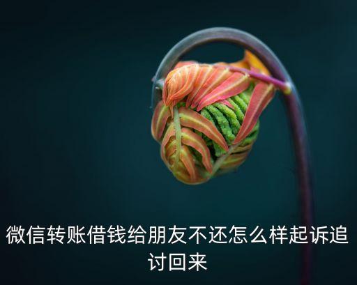 微信怎樣起訴欠錢不還的人，微信轉(zhuǎn)賬借錢給朋友不還怎么樣起訴追討回來