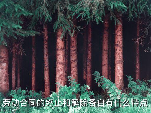 簡(jiǎn)述合同解除的概念和特征，勞動(dòng)合同的終止和解除各自有什么特點(diǎn)