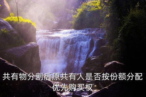 共有物分割后原共有人是否按份額分配優(yōu)先購(gòu)買(mǎi)權(quán)
