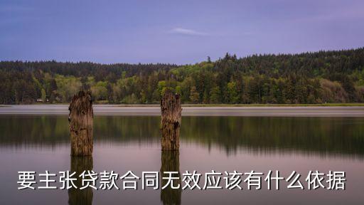 要主張貸款合同無效應(yīng)該有什么依據(jù)