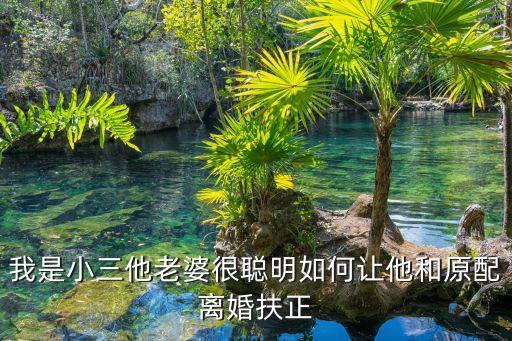 女人最聰明的離婚方式視頻，我是小三他老婆很聰明如何讓他和原配離婚扶正