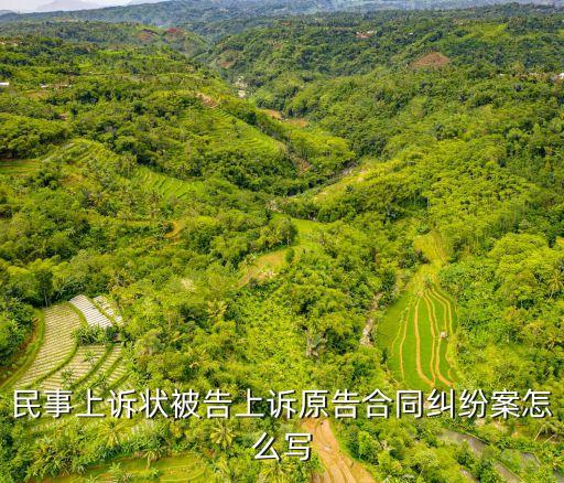 民事上訴狀被告上訴原告合同糾紛案怎么寫