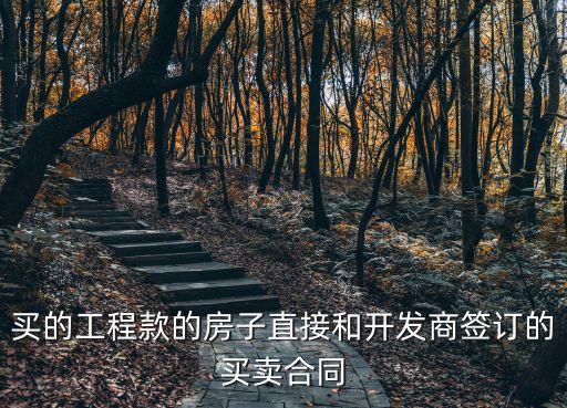 買的工程款的房子直接和開發(fā)商簽訂的買賣合同