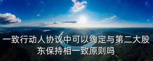 一致行動(dòng)人協(xié)議中可以約定與第二大股東保持相一致原則嗎