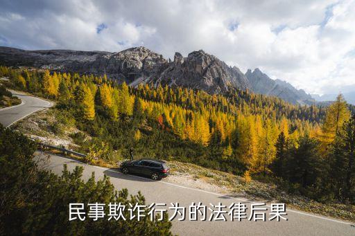民事欺詐行為的法律后果