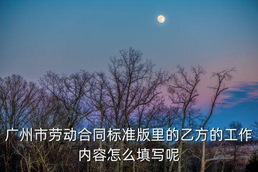 標(biāo)準(zhǔn)版勞動(dòng)合同，廣州市勞動(dòng)合同標(biāo)準(zhǔn)版里的乙方的工作內(nèi)容怎么填寫(xiě)呢