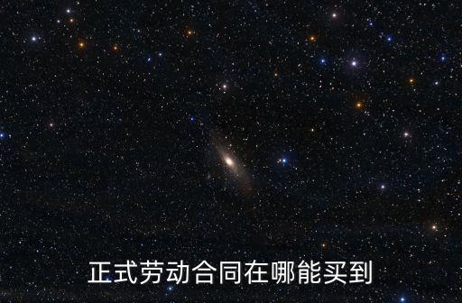 正式勞動(dòng)合同在哪能買到