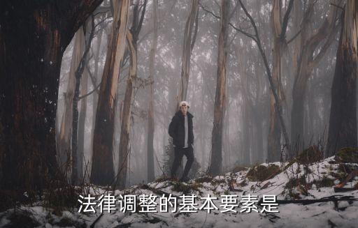 法律調(diào)整的基本要素是