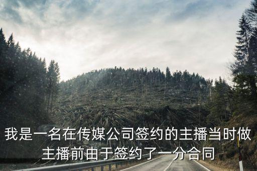 傳媒公司起訴主播失敗案例，傳媒公司 拖欠主播工資 去當地工商局投訴有用么