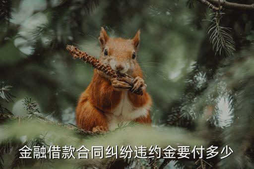 金融借款合同糾紛法律規(guī)定，金融借款合同糾紛違約金要付多少